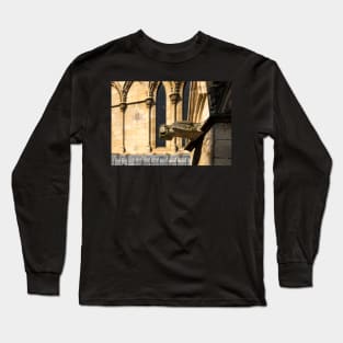 Gargoyle on York Minster 3 Long Sleeve T-Shirt